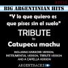 Download track Y Lo Que Quiero Es Que Pises Sin El Suelo (Instrumental Version) [Originally Performed By Catupecu Machu]