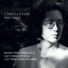 Download track Consolations, S. 172 6 Pensées Poétiques No. 3 In D-Flat Major. Lento Placido