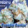 Download track Everyday Smokin (Nibiru Dyve)