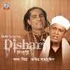 Download track Dishari