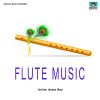 Download track Flute Music