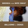 Download track Billions Of Dogs, Pt. II