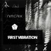 Download track First Vibration