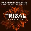 Download track Can't Fight The Feeling (Original Mix)