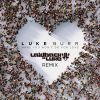 Download track What You Won't Do For Love (Laidback Luke Extended Remix)