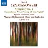 Download track Symphony No. 2 In B Flat Major, Op. 19 - II. Theme - Lento