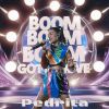 Download track Boom Boom Gotta Move (Another Version)