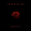 Download track K. N. W. D. L. M