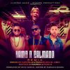 Download track Vamo A Calmano (Remix) (Quimico Ultramega, Musicologo & Mark B)