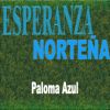 Download track Paloma Azul