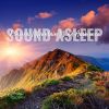 Download track Ethereal Mountain Wind Ambience, Pt. 19