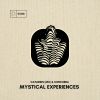 Download track Mystical Experiences (Extended Mix)