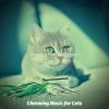 Download track Comforting (Training Cats)