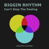 Download track Can't Stop The Feeling (Extended Mix)