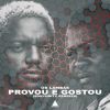 Download track Provou E Gostou (SonyUritz Dub Mix)