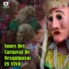 Download track Musica De Carnaval Nexquipayac Session 3