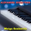 Download track Meiga Senhorita (Cover)