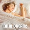 Download track Peaceful Sleep Music