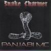 Download track Snake Charmer (DS1 Bass Line Mix)