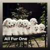 Download track A Rest For Puppies