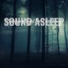 Download track Mystifying Night Time Forest Sounds, Pt. 2