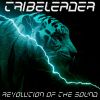 Download track REVOLUTION OF THE SOUND (Instrumental)