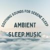 Download track Gentle Harmonies For Relaxation