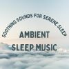 Download track Lulling Lullabies For Deep Sleep