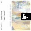 Download track Schubert Winterreise, D. 911 No. 21, Frühlingstraum (Live)
