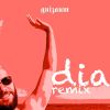 Download track Dia (Remix)