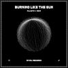 Download track Burning Like The Sun