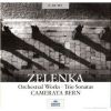 Download track 06. Sonata No. 2 In G Minor - II. Allegro