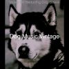 Download track Spacious Ambiance For Cute Dogs