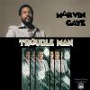 Download track Main Theme From Trouble Man (2)