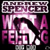 Download track What A Feeling (VIP Extended Mix)