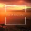 Download track Sea Of Saturation