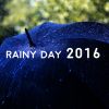 Download track Binaural Rainfall