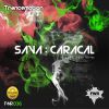 Download track Caracal (Leksin Remix)