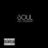 Download track Soul Exchange