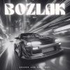 Download track BOZLAK