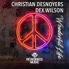 Download track Wonderful Life (Christian Desnoyers Remix)