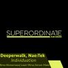 Download track Individuation (Monomood Dubtrance Rmx)