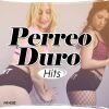 Download track Comenzamos El Perreo