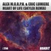 Download track Heart Of Life (Skylex Extended Remix)