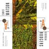 Download track Notes From The Forest Floor