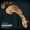 Download track Bigfoot (Dillon Francis Remix)