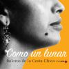 Download track Luz De Luna (Pedro Torres, Fidela Peláez, Las Hermanas García & Los Tres Amuzgos)