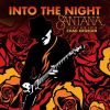 Download track Into The Night