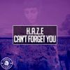 Download track Can't Forget You (Radio Edit)