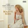 Download track Violin Partita No. 3 In E Major BWV 1006 - Gavotte En Rondeaux